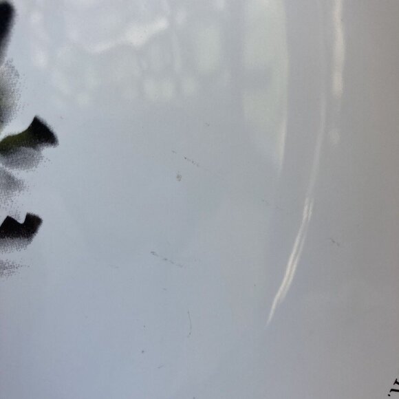 Pier 1 Imports Pasta Recipe Serving Bowl 13 in Made In Portugal READ DESCRIPTION - Picture 5 of 13